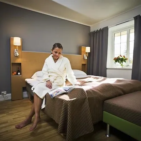 Vinger Hotel 3*