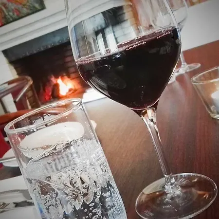 Vinger 酒店 孔斯温厄尔