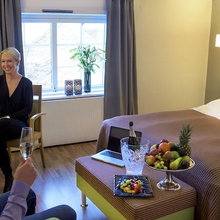 酒店 Vinger 孔斯温厄尔