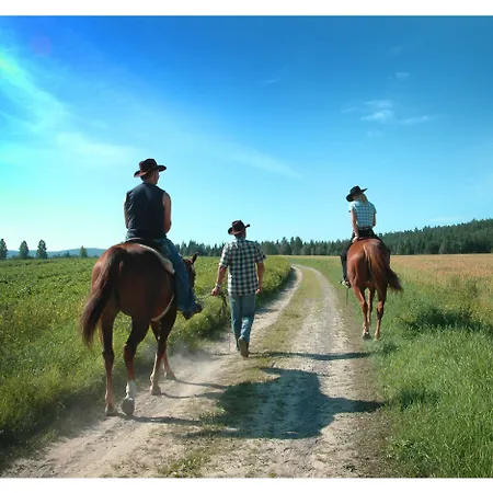 Vinger فندق كونغسفينغر